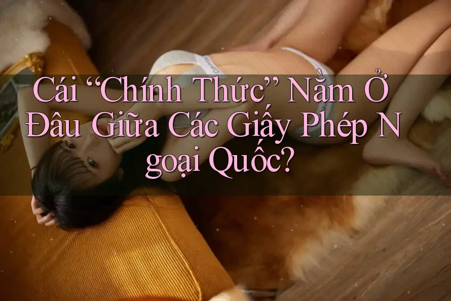 Cái “Chính Thức” Nằm Ở Đâu Giữa Các Giấy Phép Ngoại Quốc? Cái “Chính Thức” Nằm Ở Đâu Giữa Các Giấy Phép Ngoại Quốc?