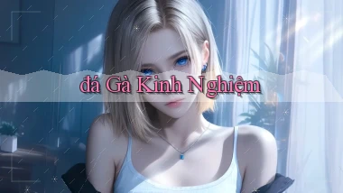 đá gà Kinh nghiệm