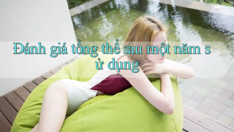 Đánh giá tổng thể sau một năm sử dụng Đánh giá tổng thể sau một năm sử dụng