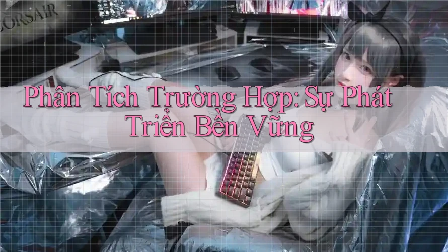 Phân Tích Trường Hợp: Sự Phát Triển Bền Vững Phân Tích Trường Hợp: Sự Phát Triển Bền Vững