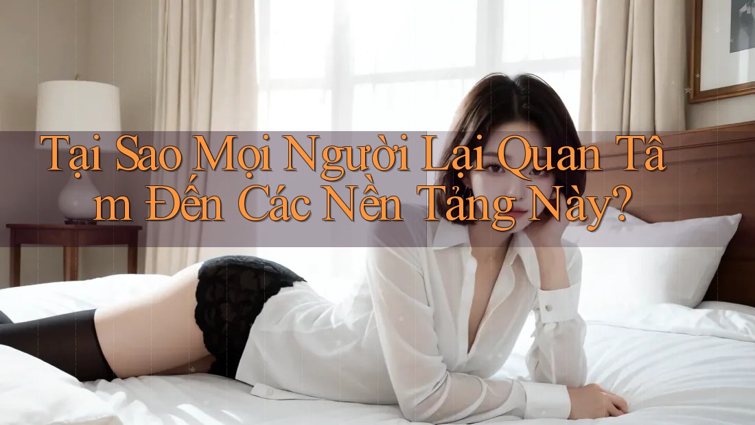 Tại Sao Mọi Người Lại Quan Tâm Đến Các Nền Tảng Này? Tại Sao Mọi Người Lại Quan Tâm Đến Các Nền Tảng Này?