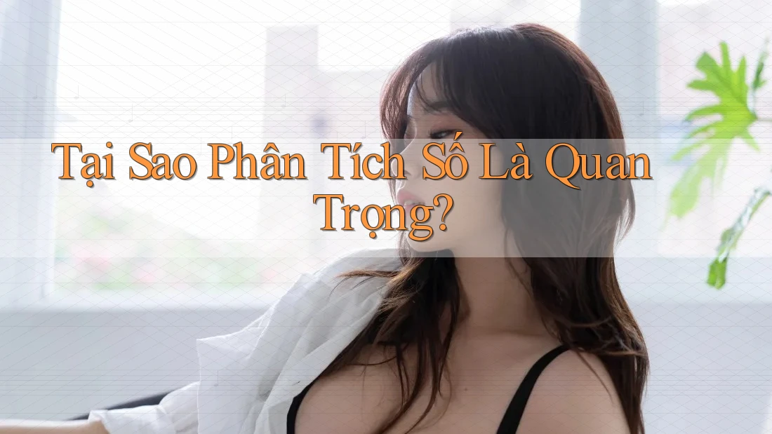Tại Sao Phân Tích Số Là Quan Trọng? Tại Sao Phân Tích Số Là Quan Trọng?