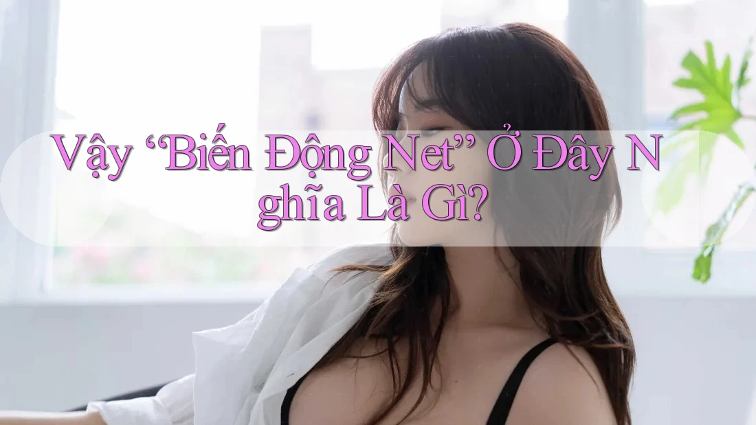Vậy “Biến Động Net” Ở Đây Nghĩa Là Gì? Vậy “Biến Động Net” Ở Đây Nghĩa Là Gì?
